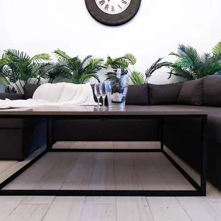 Social Vibe Loft Daire