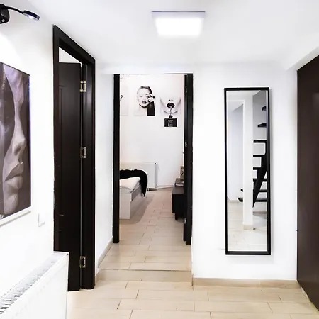 Social Vibe Loft