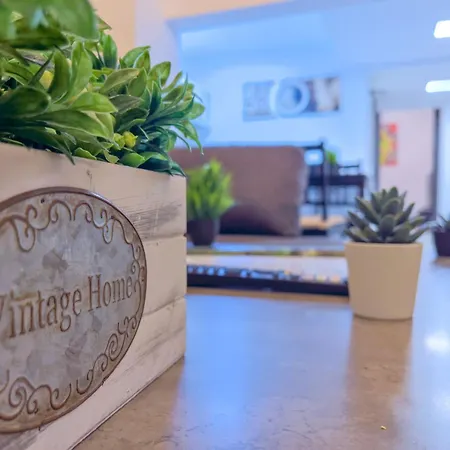 Social Vibe Loft * בוקרשט