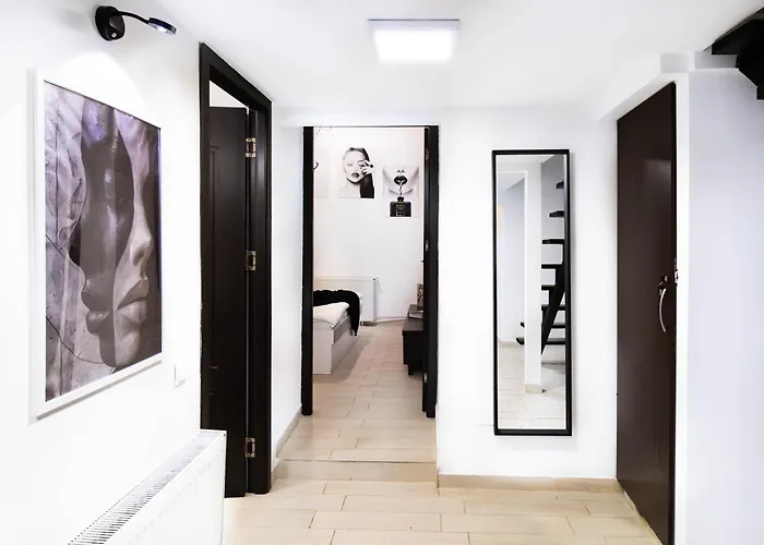 Social Vibe Loft